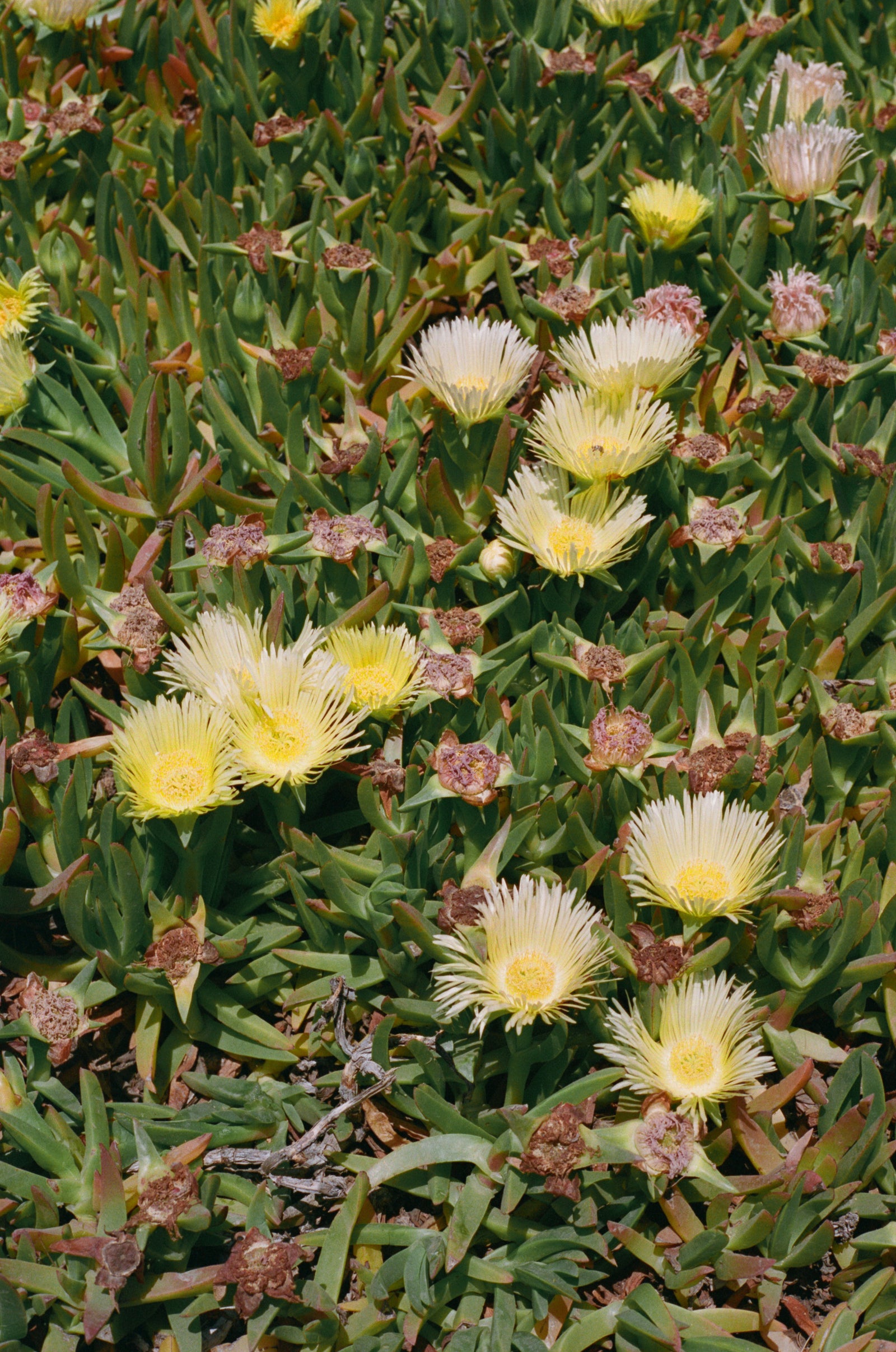 NEW WOMEN editorial image 1