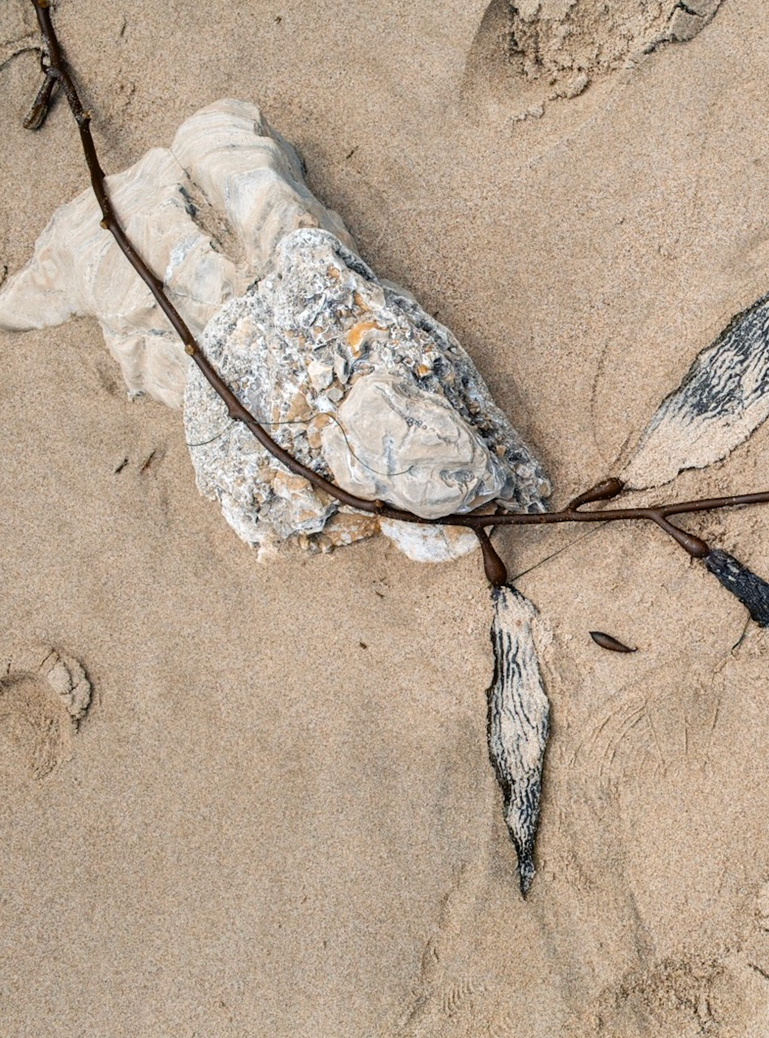 SALE WOMEN editorial image 1