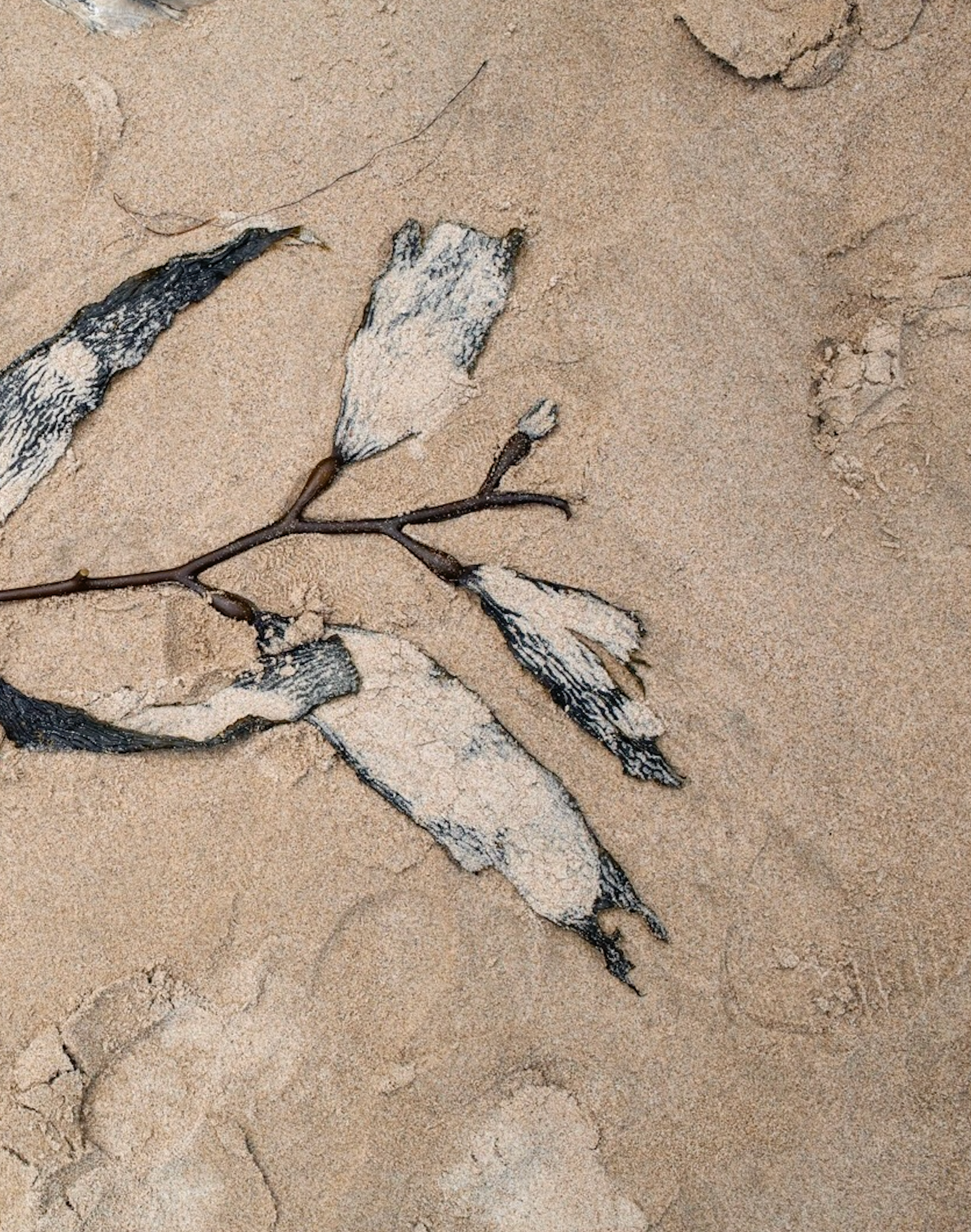 SALE WOMEN editorial image 2